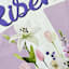 He Is Risen Yard Flag, 18"