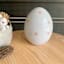 Homespun Easter Pink & White Polka Dot Ceramic Egg, 7"
