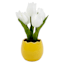 Homespun Easter White Tulips in Yellow Ceramic Egg Shaped Pot, 8 "