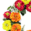 Red, Yellow, & Orange Zinnia Wreath, 22"