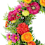Ranunculus, Anemone & Daisy Grapevine Wreath, 20"