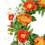 Dark Orange Poppy Wreath, 24"