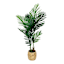 Areca Palm Tree in Basket, 4'