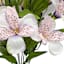 Cream & Purple Alstroemeria Bush, 18"