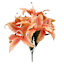 Peach Tiger Lily Bush, 19"