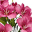 Pink Alstroemeria Bush, 18"