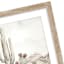 2-Pack Prickin' Cute Framed Wall Art, 12x16