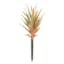 Air Plant Pick, 9"