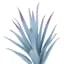 Blue Air Plant Pick, 9"