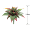Aloe Pick, 10"