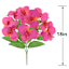 Pink Orchid Bush, 18"