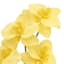 Yellow Orchid Stem, 25"