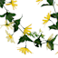 Yellow Mixed Daisy Garland, 72"