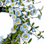 Blue Daisy Wreath, 22"