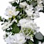 White Hydrangea & Leaves Wreath, 22"