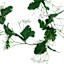 White Mixed Berry Garland, 72"