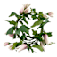 Pink Tulip & Leaves Coiled Garland, 60"