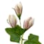 Pink Tulip & Leaves Coiled Garland, 60"