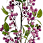 Purple Berries Stem, 33"