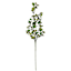 Green Berries Stem, 33"