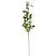 Green Berries Stem, 33"