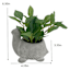 Greenery Arrangement in Pot, 6"