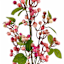 Pink Berries Stem, 33"