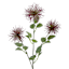 Purple Xanthium Stem, 28"