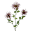 Purple Xanthium Stem, 28"