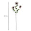 Purple Xanthium Stem, 28"