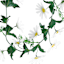 White Mixed Daisy Garland, 72"