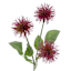 Purple Xanthium Pick, 12"