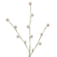 Cream Berries Coiled Garland, 60"