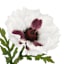 Willow Crossley White Soft Touch Poppy Floral Pick, 12.5"