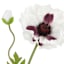 Willow Crossley White & Purple Poppy Floral Stem, 28.5"