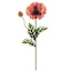 Willow Crossley Pink Poppy Floral Stem, 28.5"
