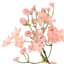 Pink Baby's Breath Floral Stem, 26"