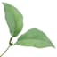 Cherry Leaves Pick, 12"