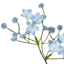 Blue Baby's Breath Floral Pick, 12"
