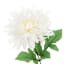 White Dahlia Floral Bush, 17"
