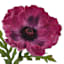 Willow Crossley Purple Soft Touch Poppy Floral Pick, 12.5"