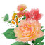 Peony & Hydrangea Mixed Floral Bush, 21.5"
