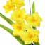 Yellow Delphinium Floral Spray, 30"