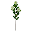 3-Bulb White Thistle Floral Stem, 31.5"
