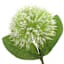 3-Bulb White Thistle Floral Stem, 31.5"
