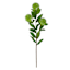 3-Bulb Green Thistle Floral Spray, 31.5"