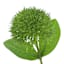 3-Bulb Green Thistle Floral Spray, 31.5"