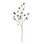 Willow Crossley Watercress Leaves Stem, 30"