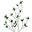 Willow Crossley Watercress Leaves Stem, 30"
