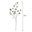Willow Crossley Watercress Leaves Stem, 30"